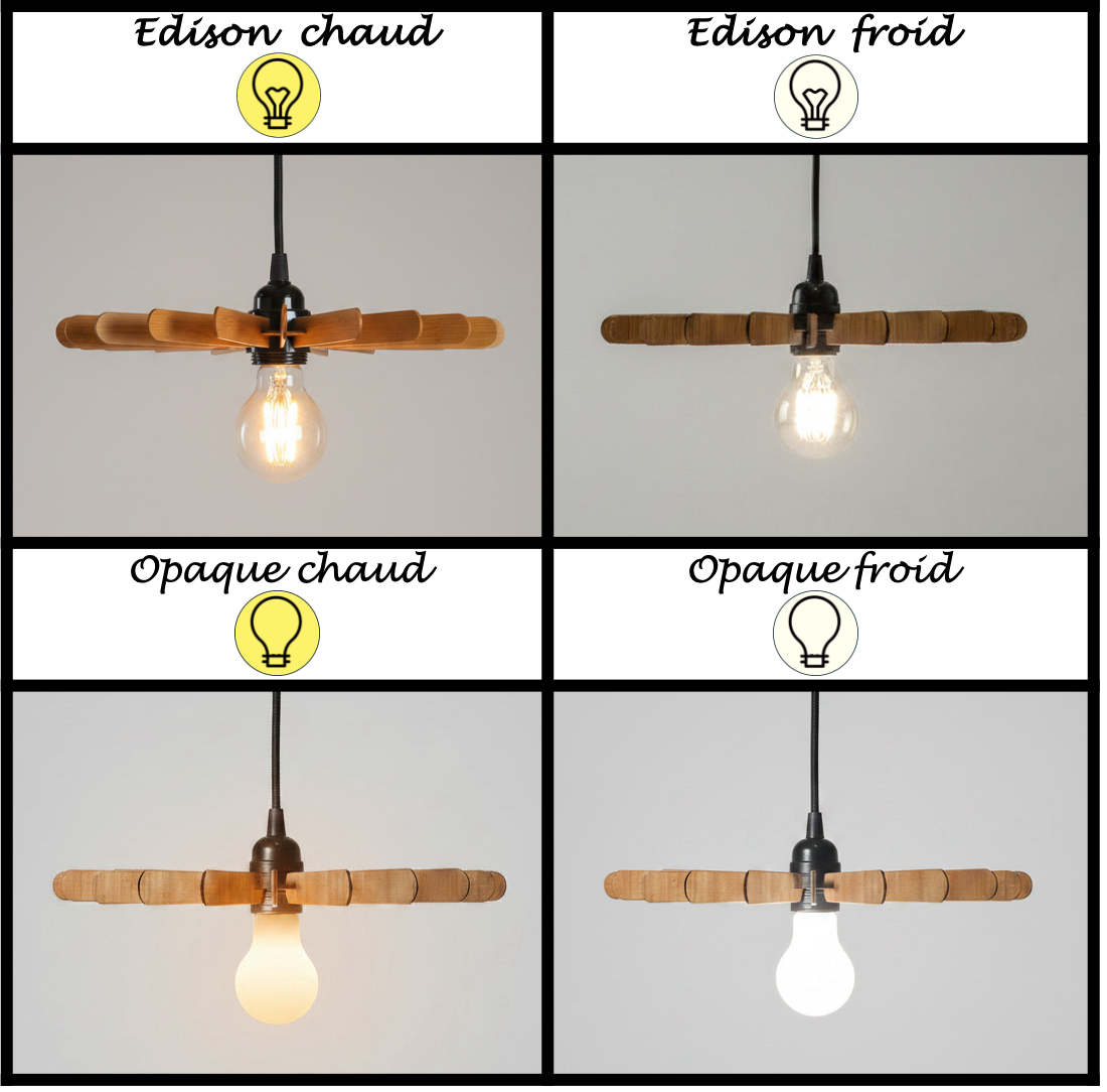 Quatre choix d'ampoule sont possibles: Edison froide ou chaude  ou Opaque froide ou chaude